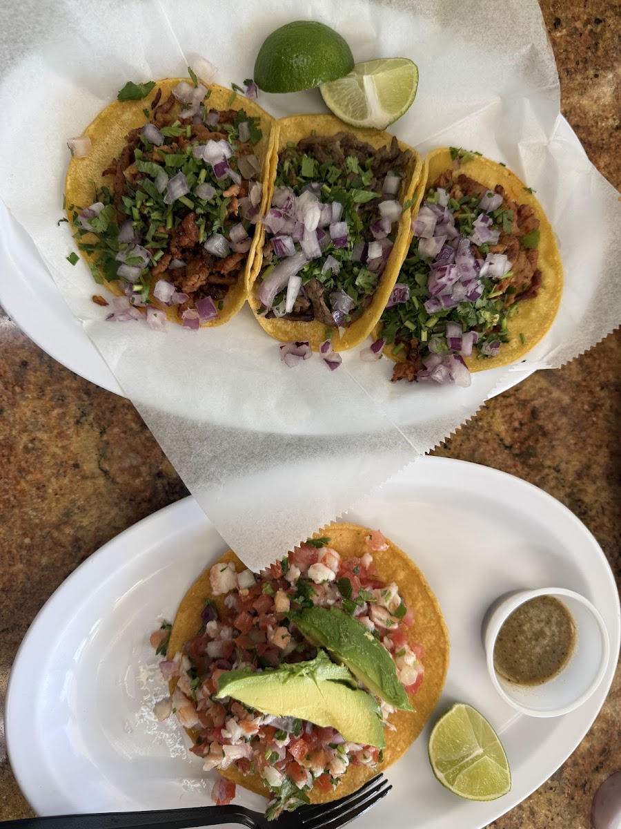 Best Taco Mexican Food Photos 2